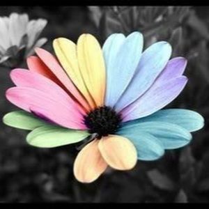 Meet your Posher, Shira